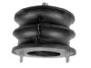 Engine Mount:4145981